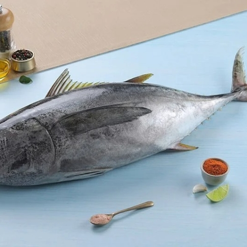 YELLOW FIN TUNA FISH