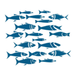 schooloffishes