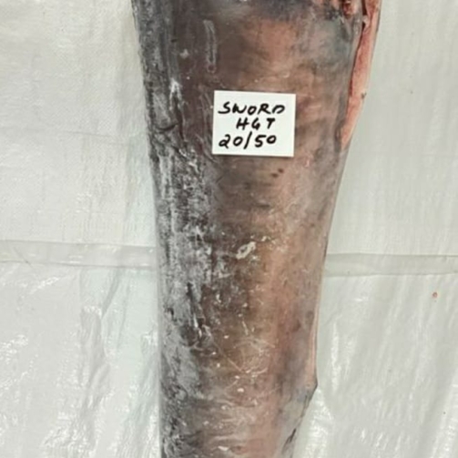 SWORD FISH ( HGT)