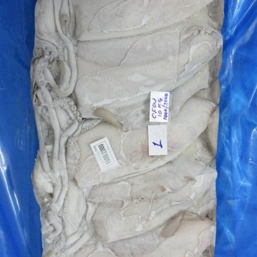 CUTTLE FISH WHOLE BLOCK FROZEN