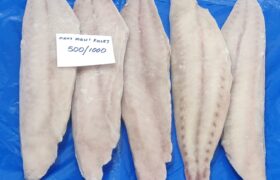MAHI MAHI FILLET